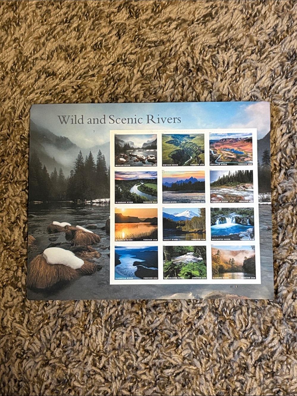 Wild and Scenic Rivers USPS Forever Stamps 12 count NEW 2019